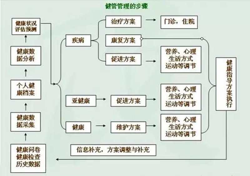 体能训练教案对比解析：新手与高手的差异